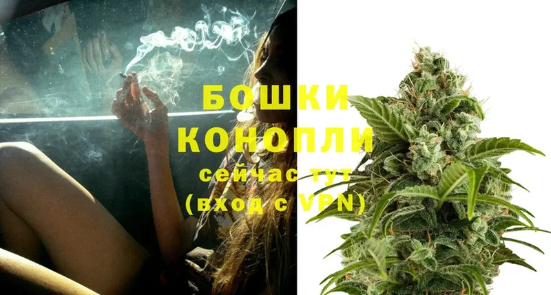 Конопля OG Kush  Киров 